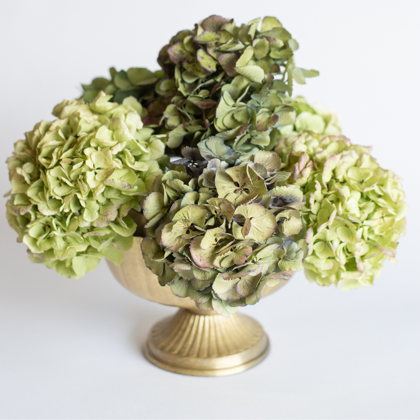 Small Lita Compote