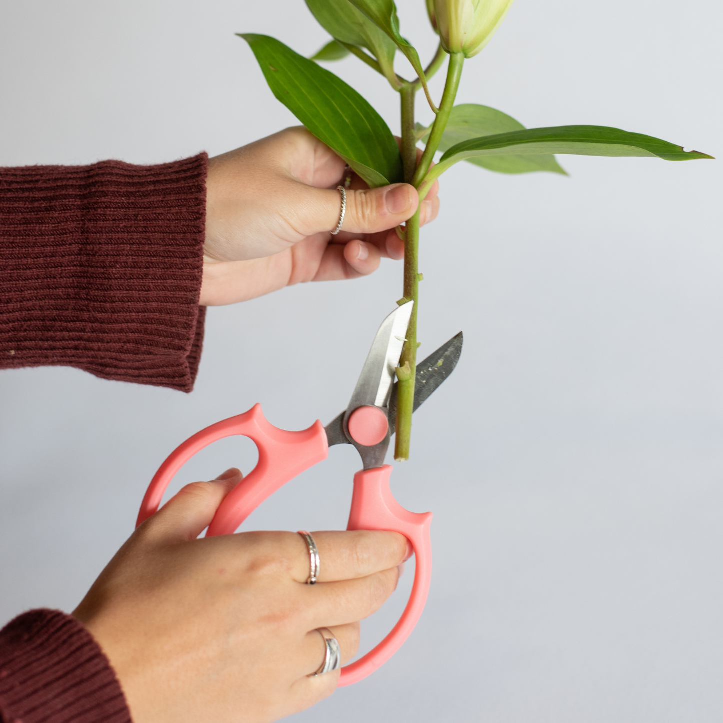Pink Floral Shears