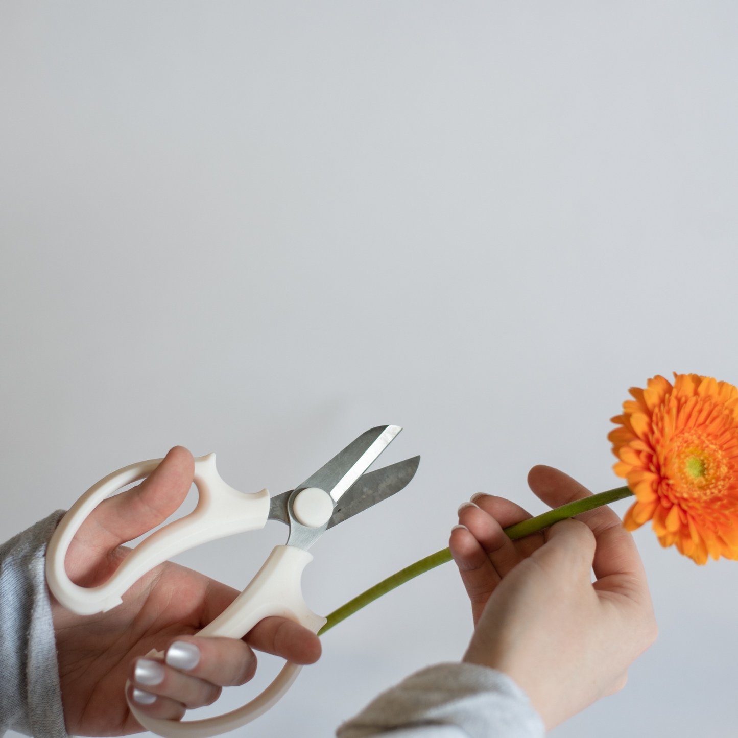 White Floral Shears