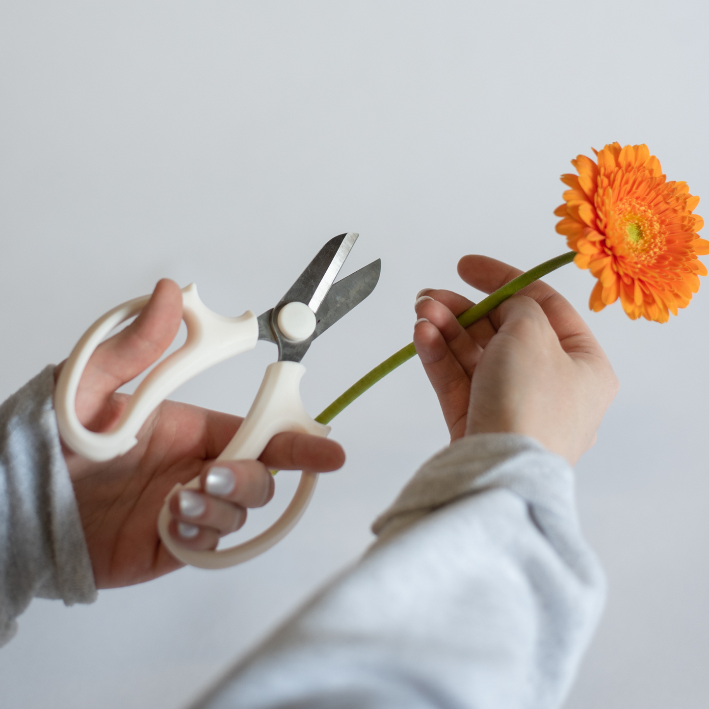 White Floral Shears