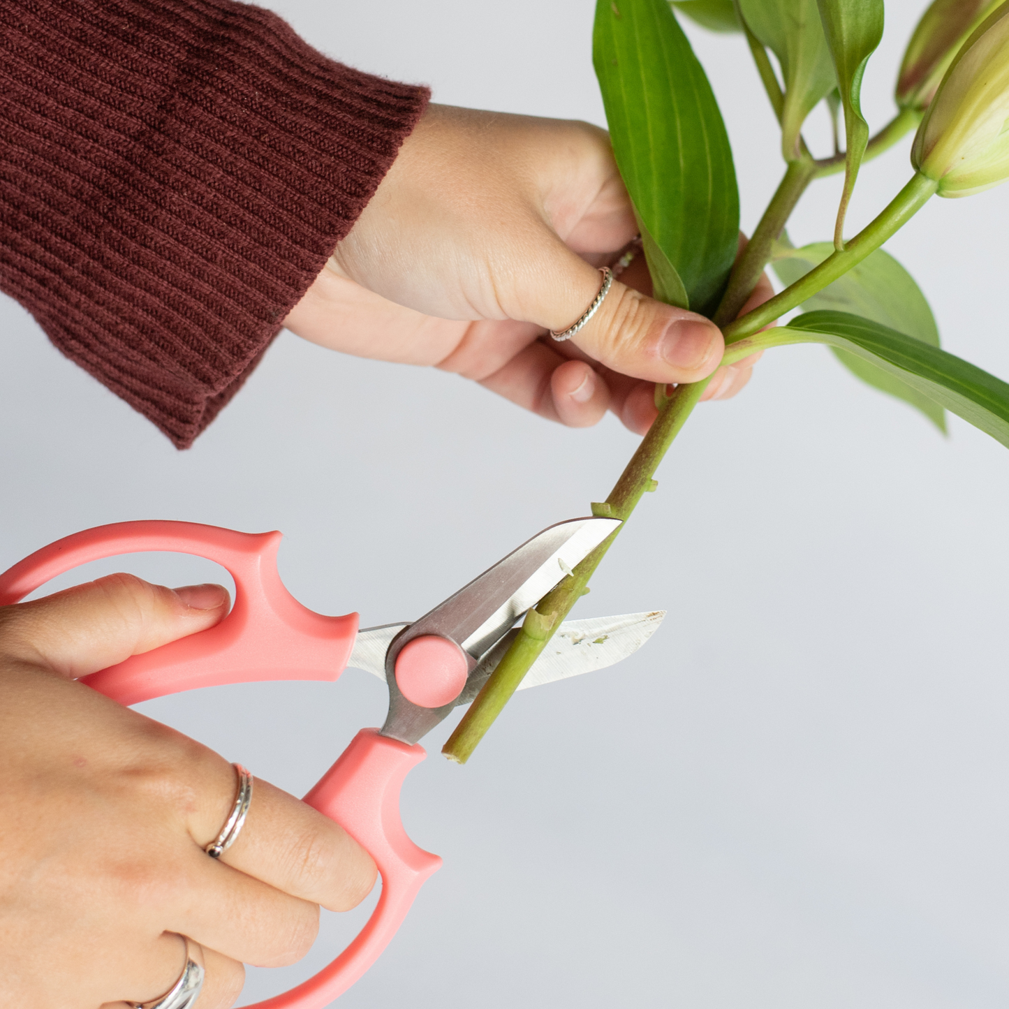 Pink Floral Shears